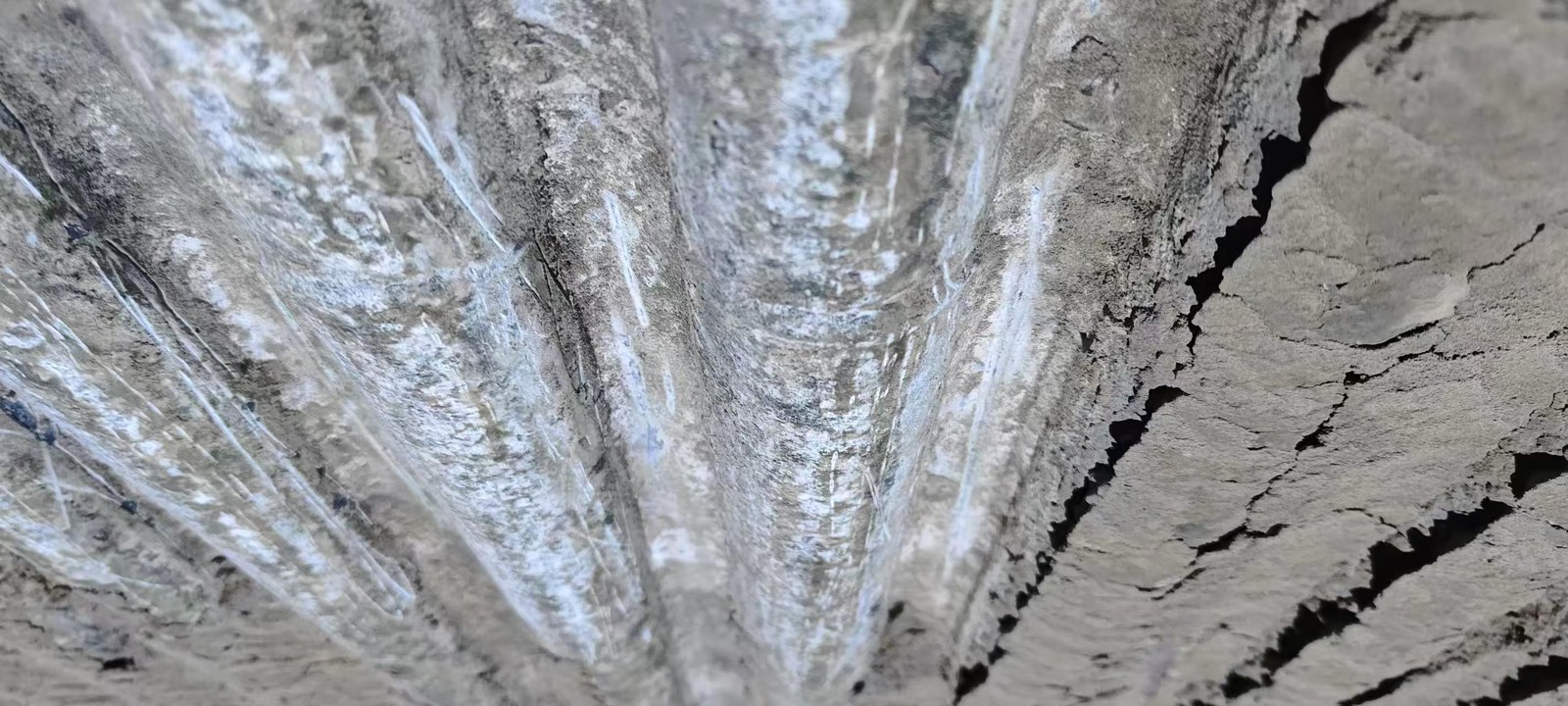 Protected waterwall tubes showing no corrosion