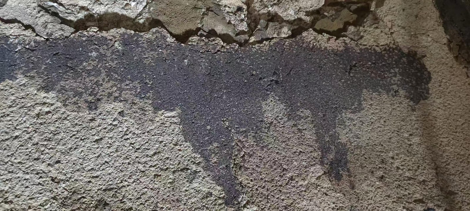 Coating surface after service